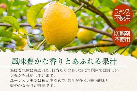 ≪数量限定≫ユーレカレモン(計5kg以上)傷み補償分200g付き　フルーツ　果物　柑橘　国産 BA46-23