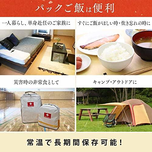 アイリスオーヤマ パックご飯 低温製法米のおいしいごはん 180g×10パック