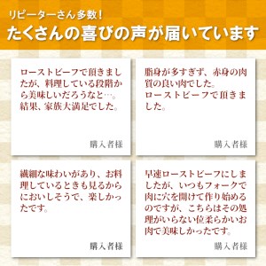 1月発送★根羽こだわり和牛 モモブロック 300g ローストビーフ 国産黒毛和牛 モモ肉