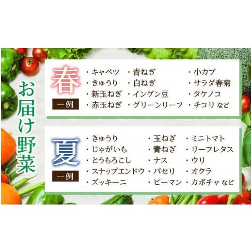 ふるさと納税 福井県 あわら市 農家直送 旬の野菜セット 7品目以上 1箱