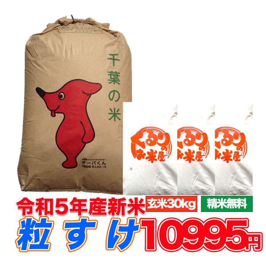 新米 令和5年産 米 30kg お米 粒すけ 玄米食でも安心の選別済 玄米 白米 精米 コメ 千葉県産 精米無料 送料無料