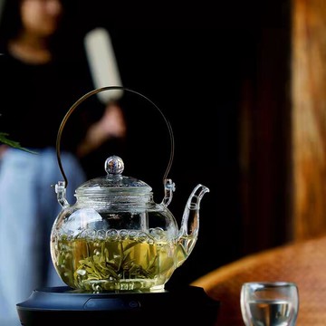 耐熱玻璃提梁煮茶壺燒水壺高檔功夫茶具日式耐高溫老白茶茶壺專用