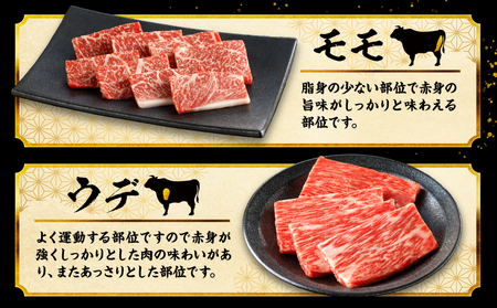 宮崎牛 焼肉 10種 盛り合わせ 牛肉