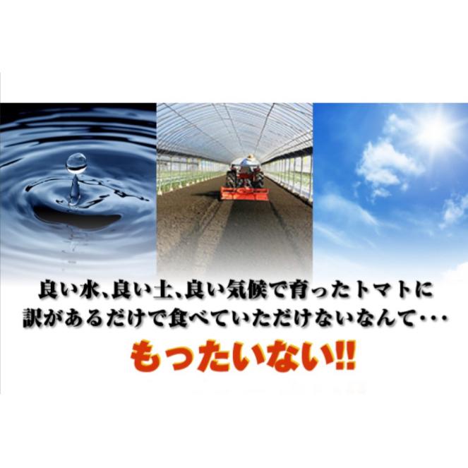 受賞歴３回！ソムリエトマト　５〜６kg(１８玉〜３６玉）(2)のオマケ！ソムリエミニトマト　プラチナ