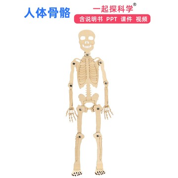 台灣出貨 手工DIY 人體骨骼模型diy科技小製作骨架拼裝教具兒童益智手工製作材料包