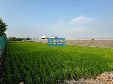 萬丹近台27漂亮都農｜屏東縣萬丹鄉萬後段