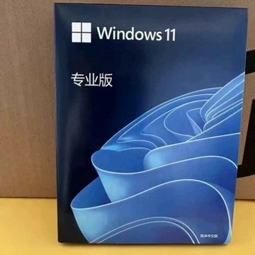Windows11專業版系統隨身碟永久啟用手機電腦通用