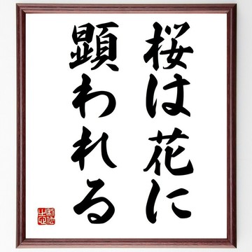 名言「櫻花顯於花」手寫書法色紙畫框／接單後毛筆親筆揮毫 (Z4998)