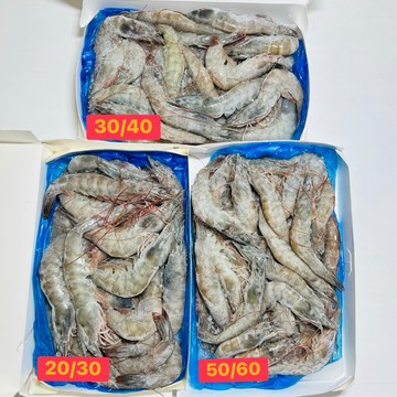 【億明食品】冷凍生白蝦 20/30 30/40 50/60 南美白蝦