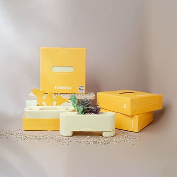 Fornice 辦公收納小盆栽 想飛高高-藤黃-二入禮盒/盆栽配件/花盆/栽培用品
