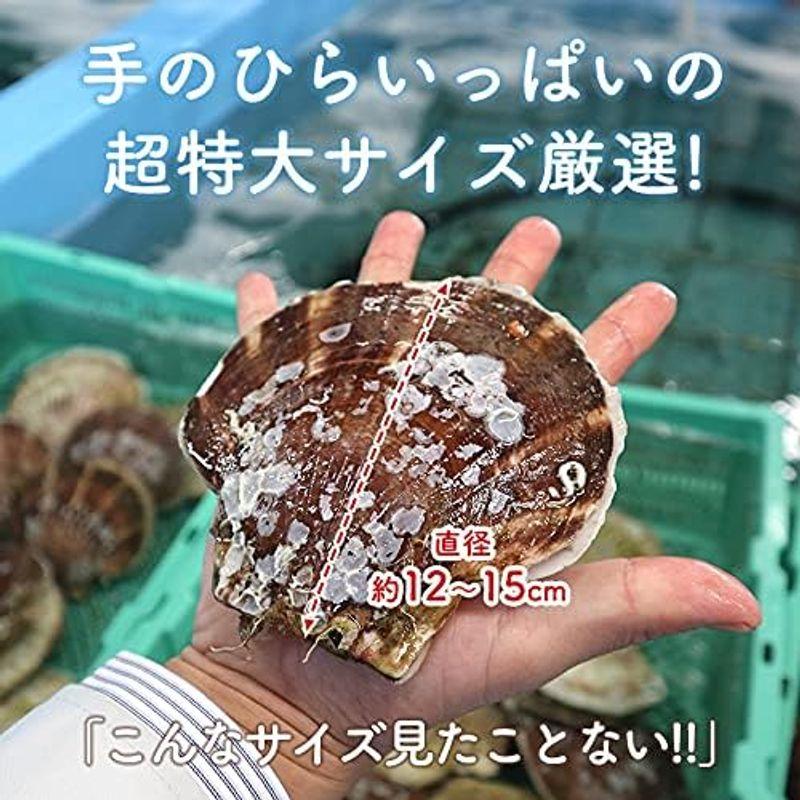 ほたて 3kg 活ほたて 青森県産新鮮プリっと甘い青森県むつ湾産 活ほたて 3ｋｇチルド便海鮮