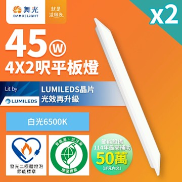 2入組 舞光 節能/環保雙認證 LED柔光平板燈 4呎X2呎 45W 輕鋼架面板燈(白光D-42PD45D-EGR1)