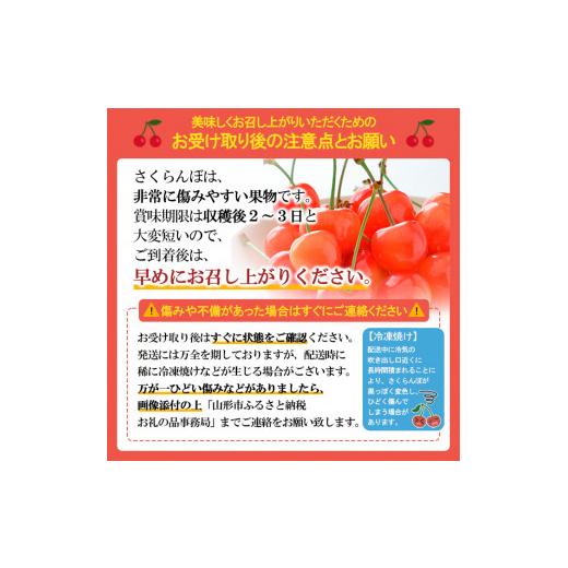 ふるさと納税 山形県 山形市 ☆フルーツ王国山形☆さくらんぼ3品種(紅さやか・佐藤錦・紅秀峰) FS23-832