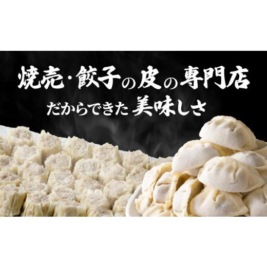 ふるさと納税 鹿児島県 鹿児島市 どれを選んでも大満足！餃子と焼売のよりどり2点セット　K033-005