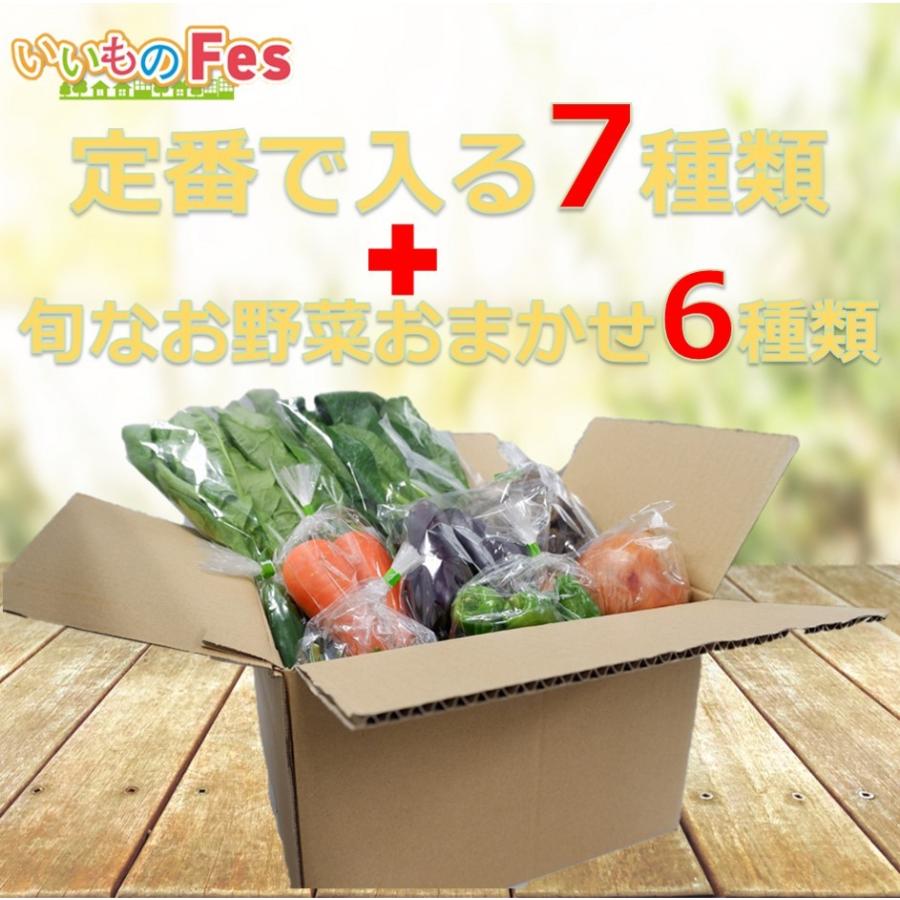 奈良野菜13種セット 奈良県産