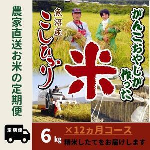 ふるさと納税 令和５年産新米がんこおやじが作った南魚沼産コシヒカリ白米６kg（３kg×２袋） 新潟県南魚沼市