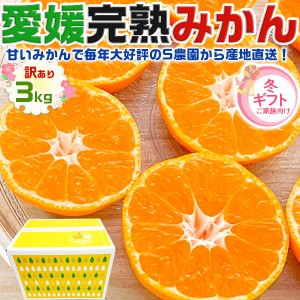 完熟・愛媛みかん 訳あり 箱買い 3kg (愛媛県宇和島産 みかん・サイズお任せ・家庭用)家族向け…