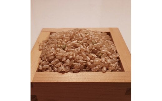 色彩選別加工済大和米 奈良県広陵町ヒノヒカリ玄米20kg   お米 ひのひかり お米 広陵町