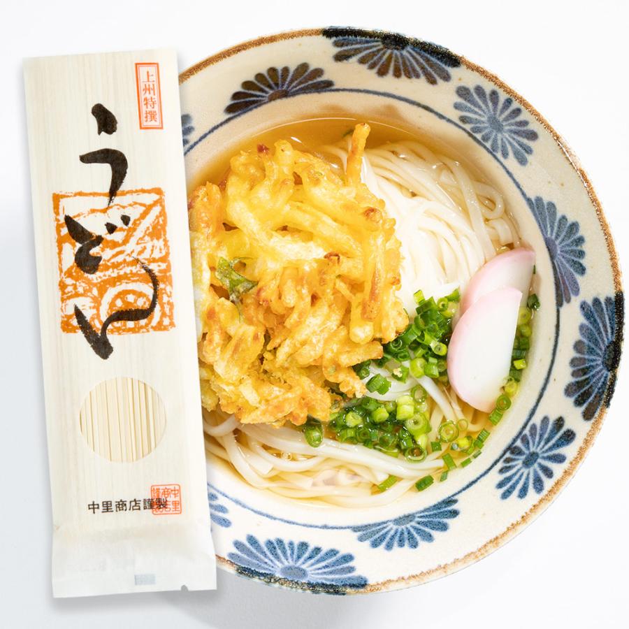 製麺工場直送 上州特撰うどん 200g×3袋 濃縮つゆ6人前 送料無料 1000円ポッキリ 