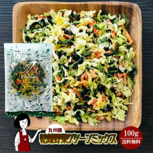 乾燥野菜グリーンミックス100g〔チャック付〕／九州産 乾燥野菜 ほうれん草 キャベツ 人参 メール便 送料無料 チャック付 九州産 ミック