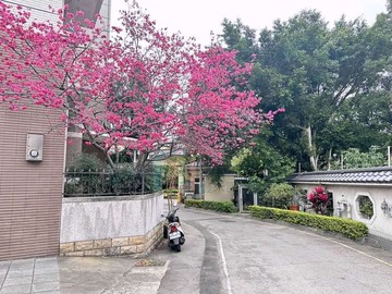 平鎮車站.玫瑰花園雙車位別墅｜桃園市平鎮區大昌路