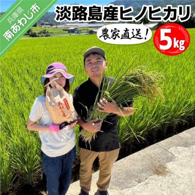 ふるさと納税 南あわじ市 農家直送!淡路島令和5年産ヒノヒカリ 5kg