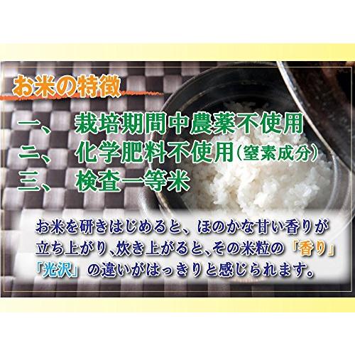 お米 10kg コシヒカリ 7分づき 5kg×2 農薬不使用 特別栽培米 兵庫県 丹波ささ山産 一等米 当日精米 令和5年産