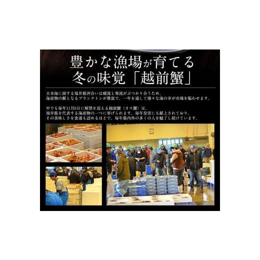 ふるさと納税 福井県 敦賀市 [順次発送] まるごと使用！ズワイ蟹甲羅盛り × 3個 セット 【敦賀 塩荘 しおそう ずわいがに ズワイガニ カニみそ 贈答 …