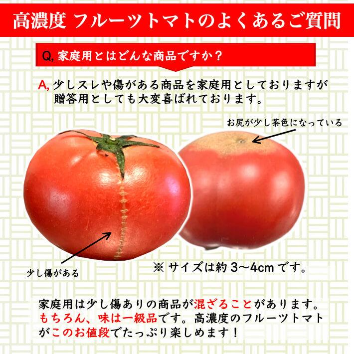 ＼12月中旬発送予約／ トマト フルーツトマト 高知県産 高濃度 ミニトマト 約2kg 高級 訳あり ギフト
