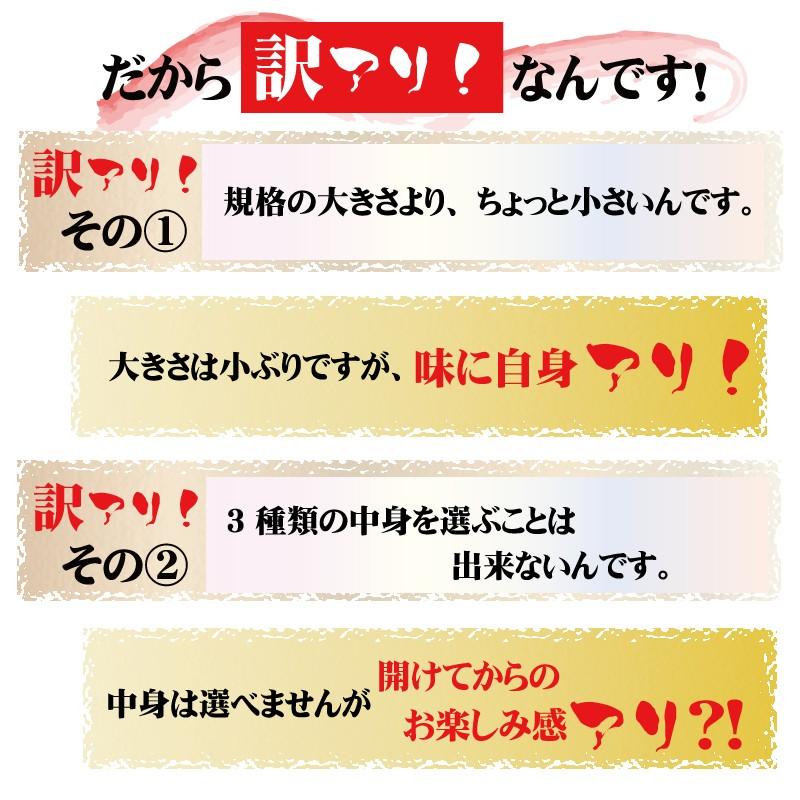 「骨まで食べられる焼き魚」おまかせ3枚セット　訳アリ　無添加、保存料なし　骨まで　干物