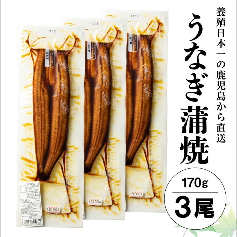 (P2倍) うなぎ 国産 鰻 蒲焼き お歳暮 大サイズ 170g 3尾 御歳暮 ギフト 鹿児島 ウナギ 蒲焼 セット 送料無料 冷凍 unagi お取り寄せ プレゼント 丑の日