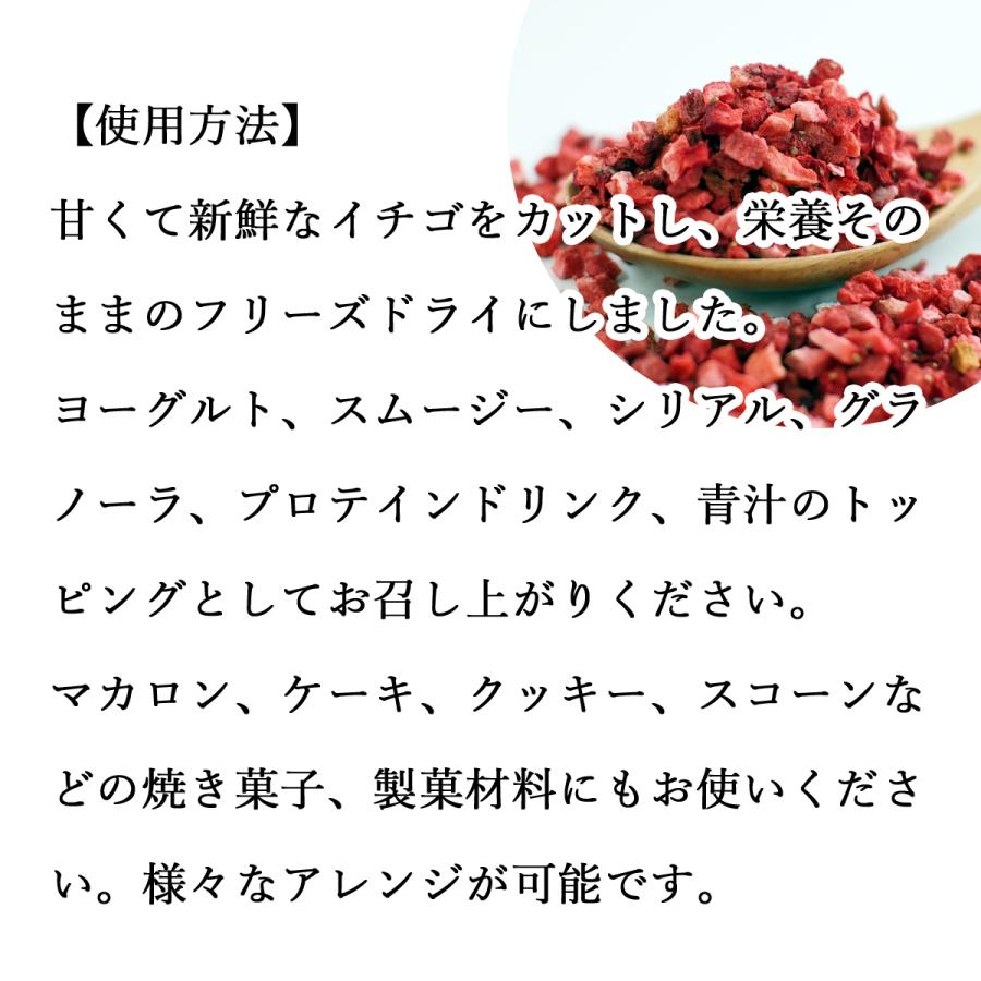 いちご フリーズドライ 60g 乾燥 ストロベリー 5mm ドイツ産 送料無料