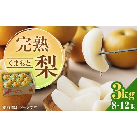 ふるさと納税 熊本県 完熟 くまもと梨 3kg 果物 フルーツ なし