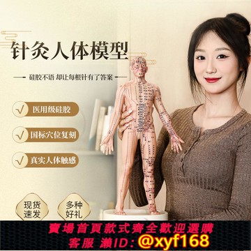 {可打統編 保固一年}中醫針灸人體模型經絡穴位人形大銅人真人硅膠仿真小