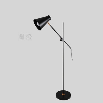 【H&R安室家】 亞拉落地燈 ZA0076