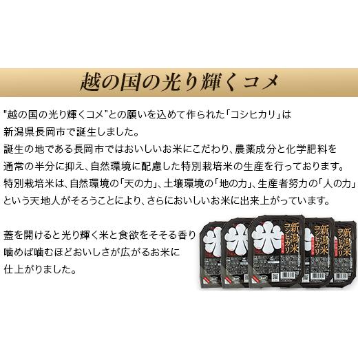 ふるさと納税 新潟県 長岡市 75-PG48新潟県長岡産コシヒカリ パックご飯150g×48個（特別栽培米）