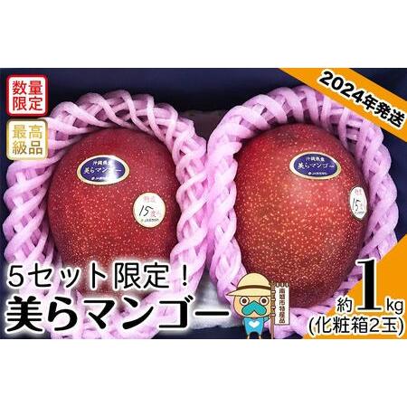 ふるさと納税 完熟美らマンゴー約1kg（化粧箱）2玉 沖縄県南城市