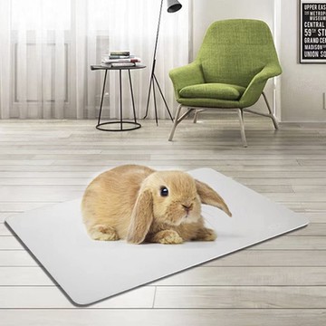 Conalife 毛寶貝涼感降溫鋁製散熱墊├30X20cm┤（1入）