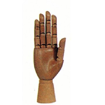 AP6吋右手型*z0253【APP滿額下單10%點數(單一帳號最高5000點)】1/31止