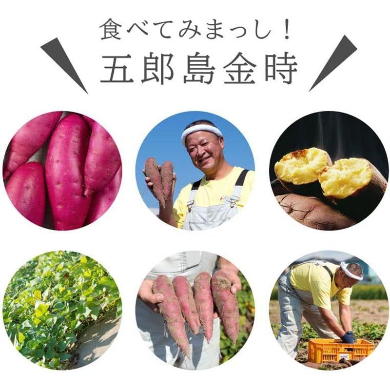 さつまいも・五郎島金時 5kg 等級：優品 Lサイズ ご家庭用加賀野菜ブランド芋・石川県産見た目小傷あり・生芋・産地直送野菜・ギフト