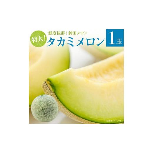 ふるさと納税 茨城県 鉾田市 特大緑肉　1玉入り（3kg以上）