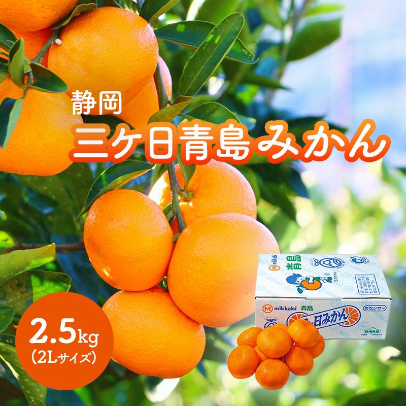  フルーツ 静岡 三ケ日青島みかん 2L 2.5K 果物 青果 柑橘 ミカン 国産 2Lサイズ 2.5kg 内祝い ギフト 送料無料 CG079