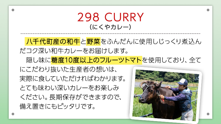   298（にくや） カレー （200g×10袋） レトルト ビーフ 和牛 ひとり暮らし インスタント お取り寄せ 惣菜 グルメ[CA003ya]