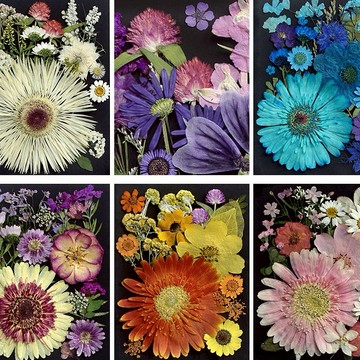 【花顏系列】 花包組合 真花壓花 永生花 森林系 少女寫真 壁畫 DIY水晶滴膠 乾燥花 植物標本