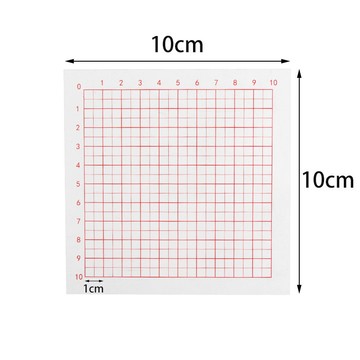 🌠「學校專用」科學教具 面積測量器帶刻度 透明小方格國小數學幾何教學具方格紙10*10cm