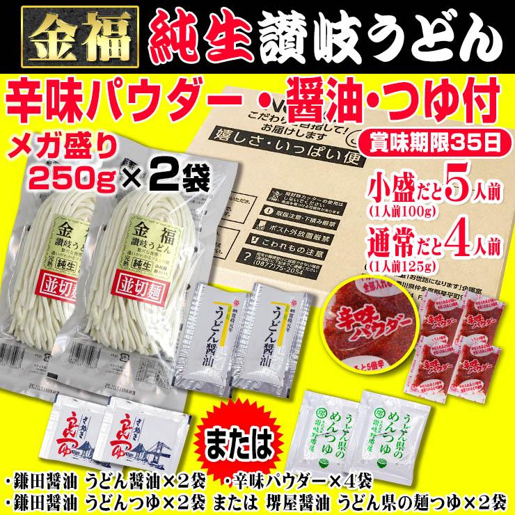 送料無料 ピリ辛・醤油・つゆ付き 生讃岐うどん 500g（1袋250g×2） ネコポス お取り寄せ 激安  得トクセール 特産品 ぽっきり