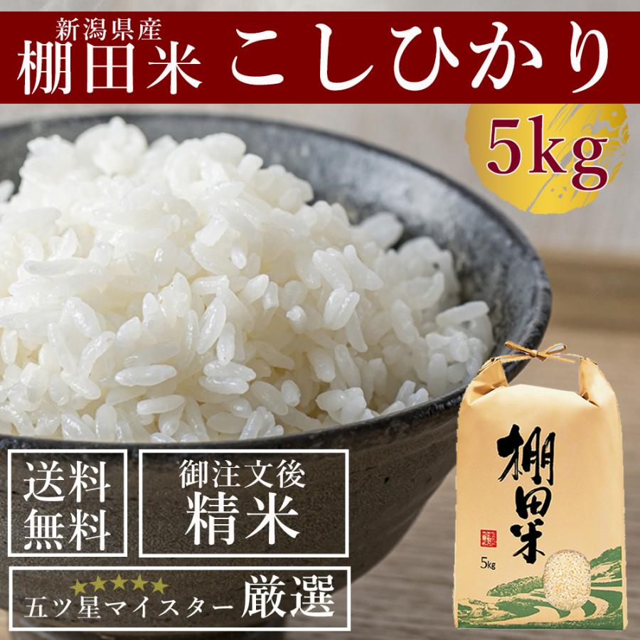 受注精米 新潟県産 棚田米 コシヒカリ 5kg お米 送料無料 白米 令和4年産 2022年