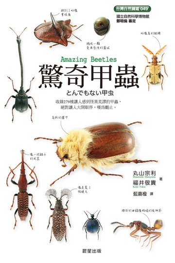 【電子書】驚奇甲蟲