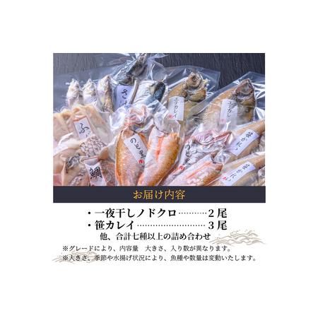 ふるさと納税 のどくろ、笹カレイ入り 一夜干し詰め合わせ ブラック 京都府京丹後市