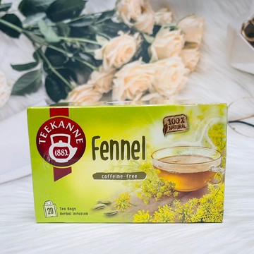 德國 TEEKANNE 恬康樂 植草茶 茴香味 20小包入｜全店$199免運